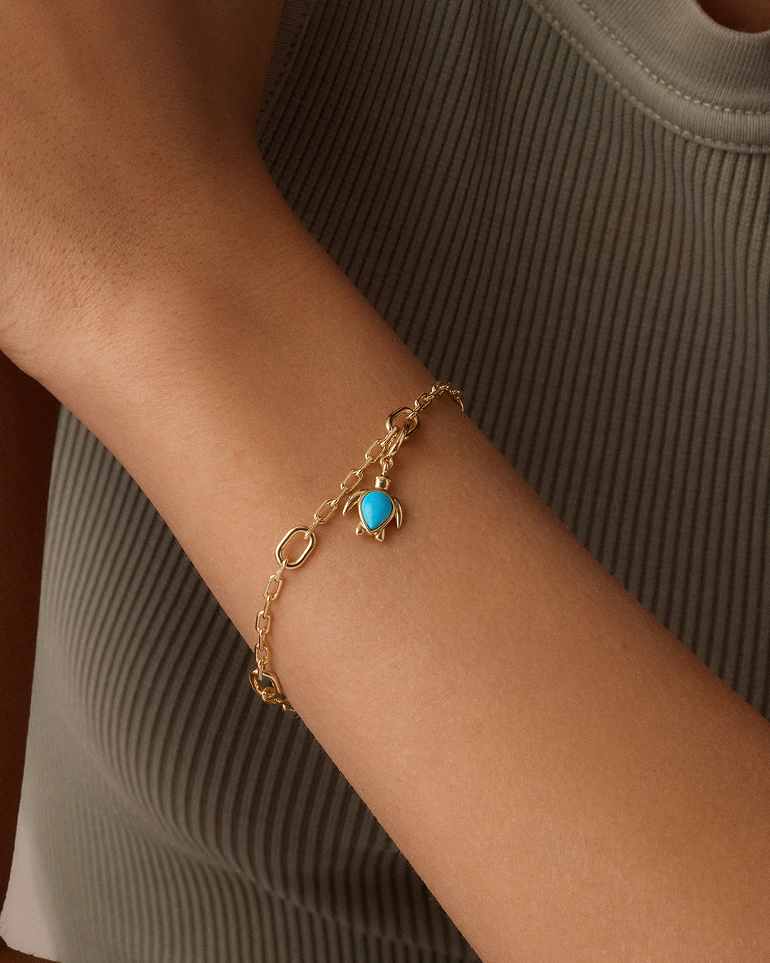 Alternative view of Turtle Parker Charm