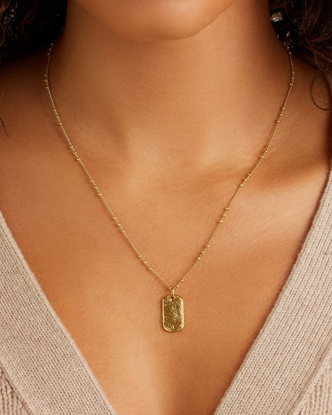 Alternative view of Griffin Dog Tag Necklace
