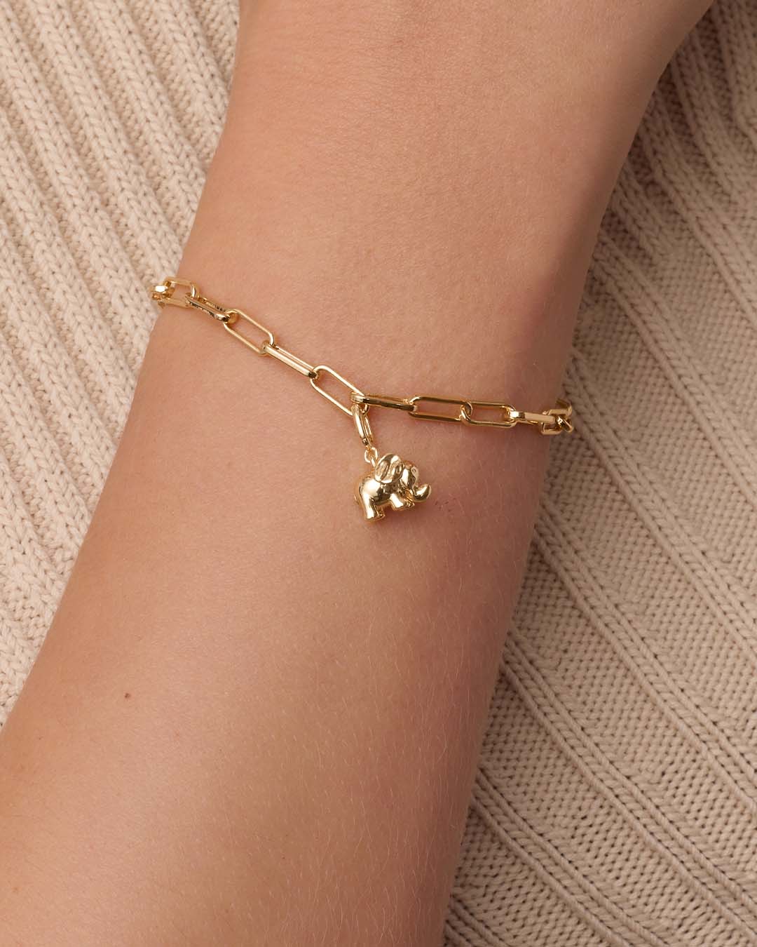 Alternative view of Elephant Parker Charm