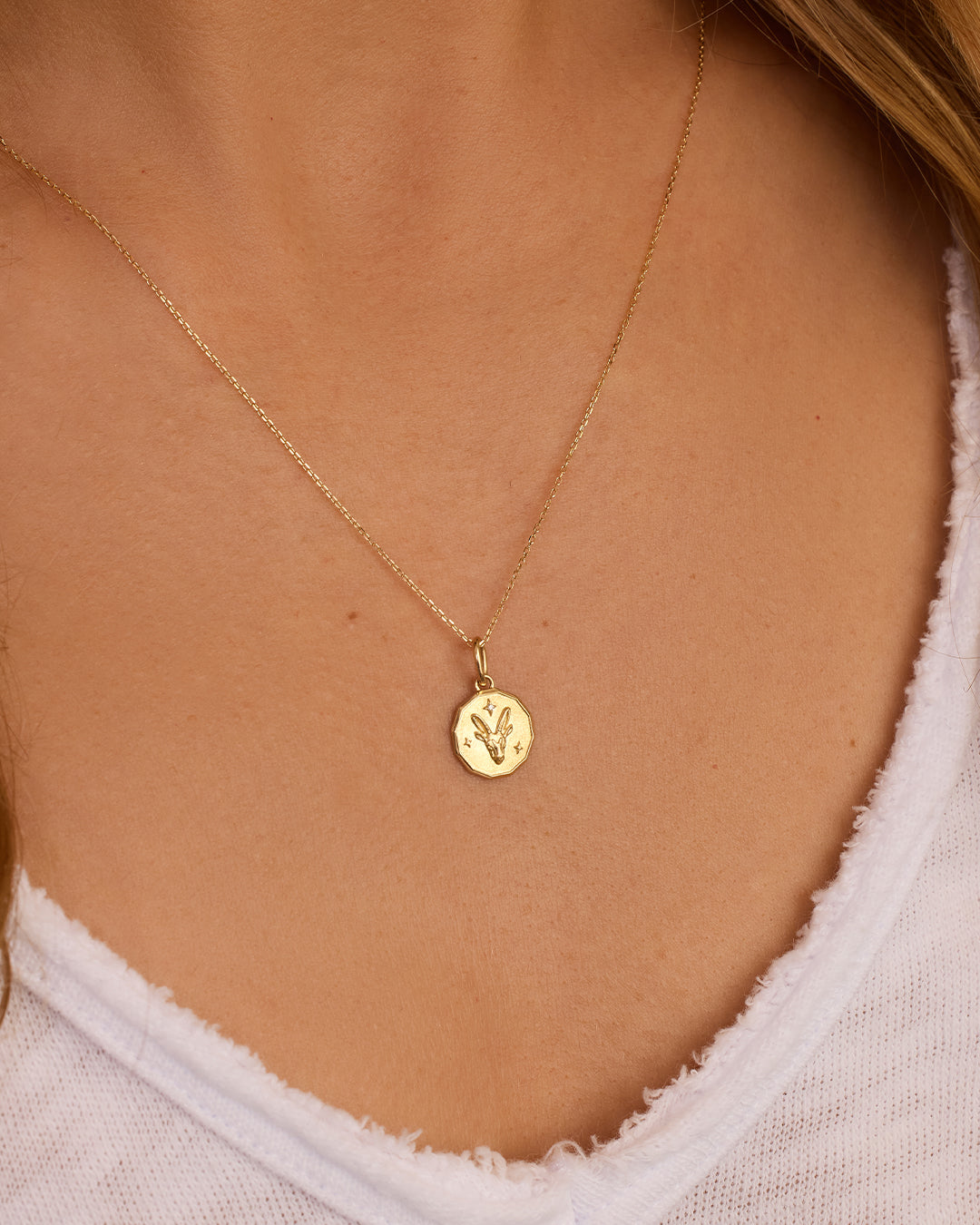 Alternative view of Diamond Zodiac Coin Charm